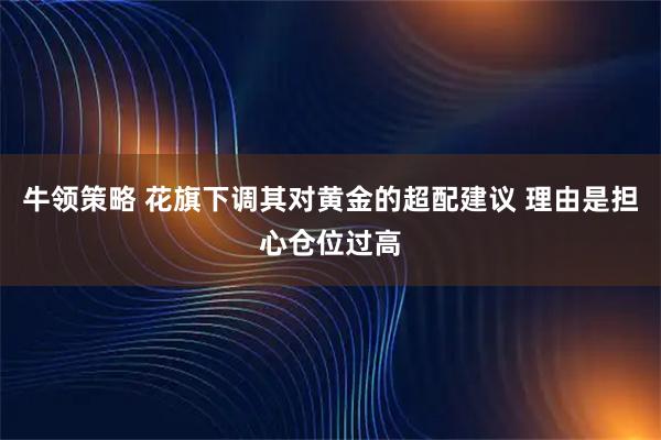 牛领策略 花旗下调其对黄金的超配建议 理由是担心仓位过高