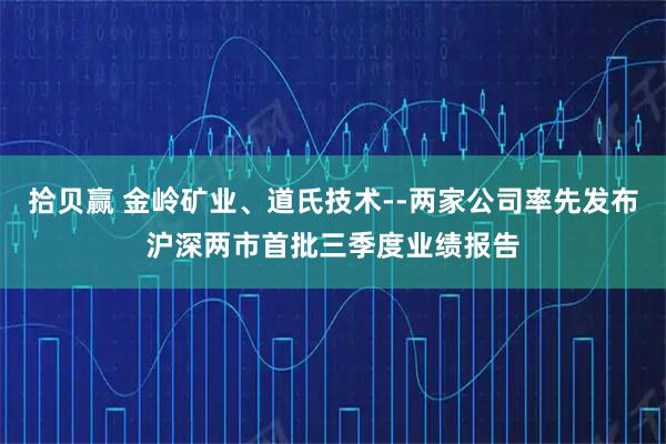 拾贝赢 金岭矿业、道氏技术--两家公司率先发布沪深两市首批三季度业绩报告