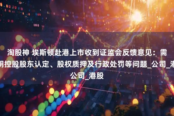 淘股神 埃斯顿赴港上市收到证监会反馈意见：需说明控股股东认定、股权质押及行政处罚等问题_公司_港股