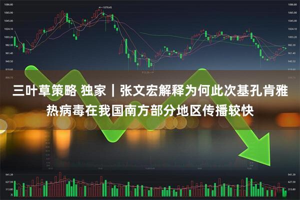 三叶草策略 独家|张文宏解释为何此次基孔肯雅热病毒在我国南方部分地区传播较快