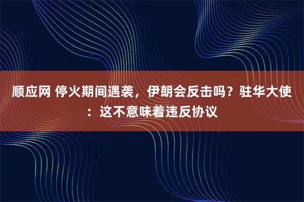 顺应网 停火期间遇袭，伊朗会反击吗？驻华大使：这不意味着违反协议