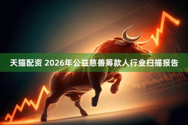 天猫配资 2026年公益慈善筹款人行业扫描报告