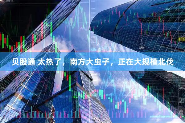 贝股通 太热了，南方大虫子，正在大规模北伐