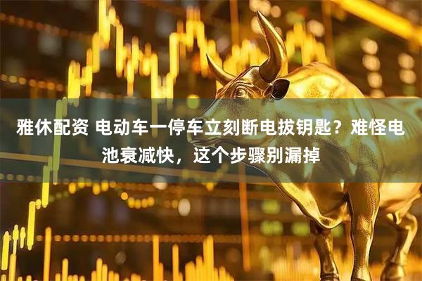 雅休配资 电动车一停车立刻断电拔钥匙?难怪电池衰减快,这个步骤别漏掉