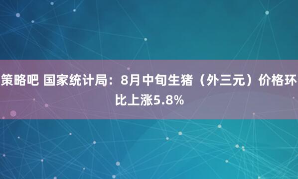 策略吧 国家统计局：8月中旬生猪（外三元）价格环比上涨5.8%
